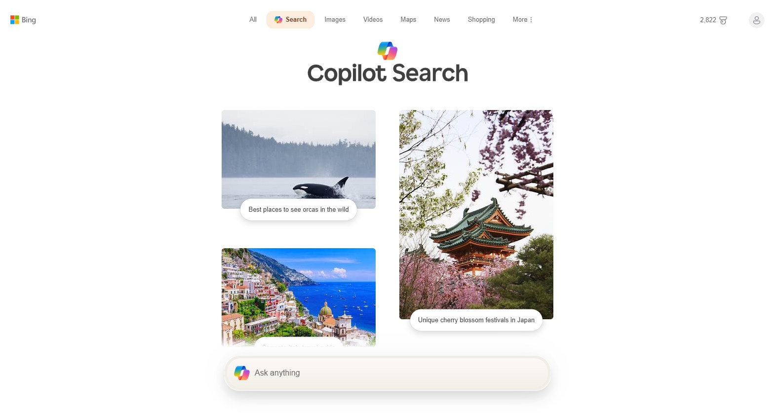 Bing Copilot screenshot