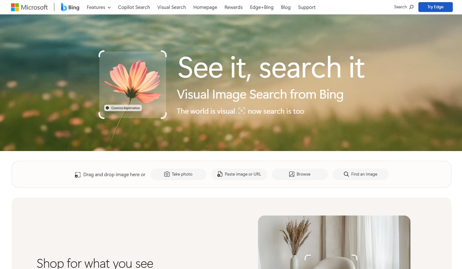 Bing Visual Search screenshot